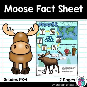 Preview of Moose Fact Sheet for Early Readers - Animal Study