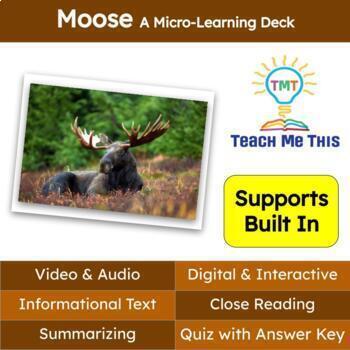 Preview of Moose Informational Text Reading Passage and Activities