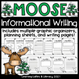Moose Informational Writing Animal Research Activity Winte