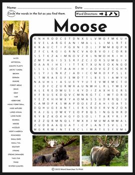 Moose Word Search Puzzle Animal Research All About Moose TPT
