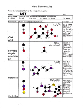 Macromolecules Chart Ap Biology