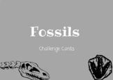 More about Fossils