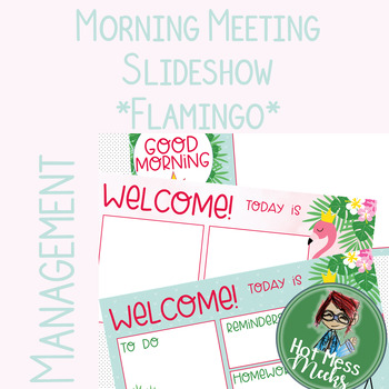 Preview of Morning Meeting Slides - Agenda - Daily Slides - *FLAMINGO THEME*