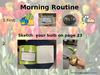 Preview of Morning Routine Powerpoint Template