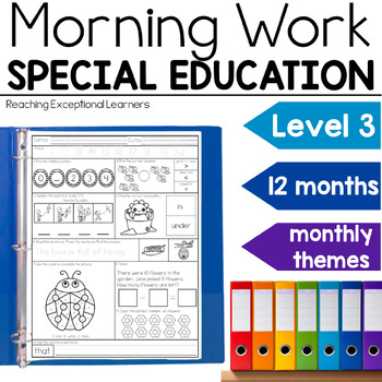 Preview of Morning Work Level 3 Bundle