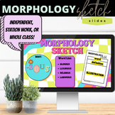 Morphology + Greek and Latin Roots |  Morphology Sketch Slides