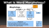 Morphology Word Pratice