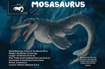 Preview of Mosasaurus - Dinosaur Poster & Handout