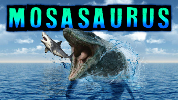 Preview of Mosasaurus Quiz!