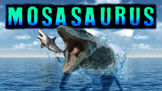 Mosasaurus Quiz!