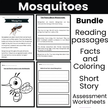 Mosquito. Insect reading passages, facts, coloring, short story and ...