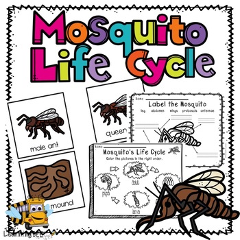 mosquito life cycle for kids