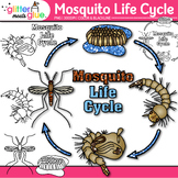 Mosquito Life Cycle Clipart: Bugs Clip Art, PNG, Black & W