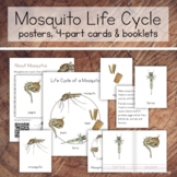 Mosquito Life Cycle Pack