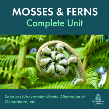 Preview of Mosses and Ferns Complete Unit
