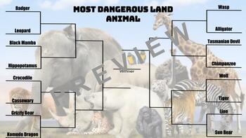 Most Dangerous Land Animal Bundle by Jennifer Cheney | TPT