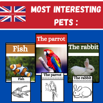 Preview of Most Interesting Pets : Worksheets and Flash cards.