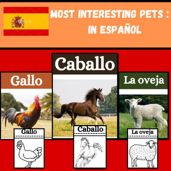 Preview of Most Interesting Pets : Worksheets and Flash  cards in Español