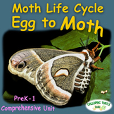 Moth Life Cycle - Egg to Moth