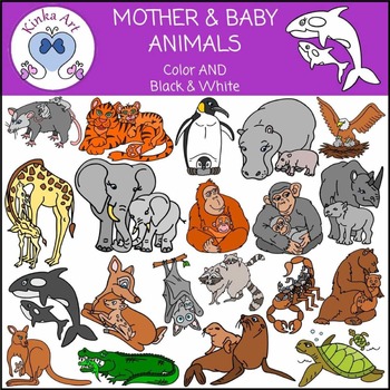 Mother Baby Animal Clip Art By Kinka Art Teachers Pay Teachers