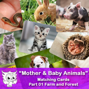 Preview of Mother & Baby Animals - Matching Cards. Farm and Forest #01