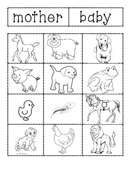 Mother and Baby Animal's Sort by Willetts' Kinder Bunch | TPT