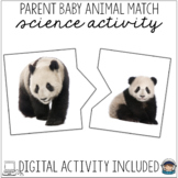Matching Mother and Baby Animals w/ Real Photographs Science Centers Montessori