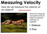 Motion and Velocity - Are you faster than an ostrich?  Les
