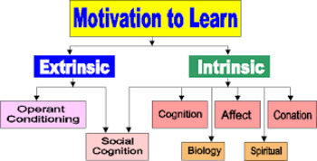 Preview of Motivation and Learning