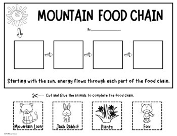 Mountain Food Chains - Activity and Word Wall Cards - Animal Food Chain