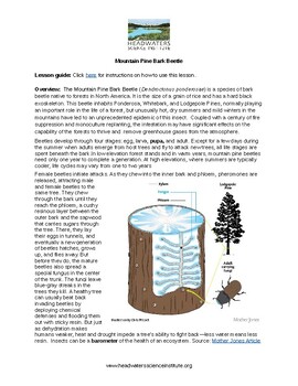 Preview of Mountain Pine Bark Beetle Mini Project Lesson Packet