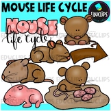 Mouse Life Cycle Clip Art Set {Educlips Clipart}