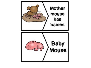 Calaméo - Life Cycle Of Mouse