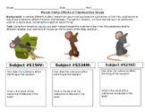 Mouse Party Interactive Worksheet - Effects of Addiction a