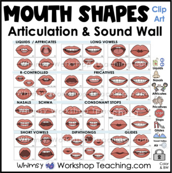 Preview of Mouth Shapes for Phoneme Articulation Sound Wall Clip Art Images Bundle