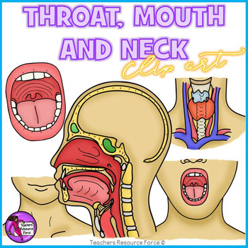 Preview of Mouth, Throat, Neck realistic clip art