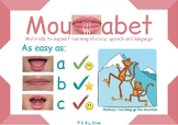 NEW Alphabet Phonics Mouth photo charts with guidance notes