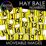 Moveable Hay Numbers 0-20 (Moveable Images)