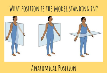 Preview of Movement Terminology Review Activity (Images)