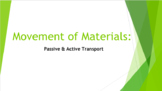 Movement of Materials (Cell Transport) Presentation