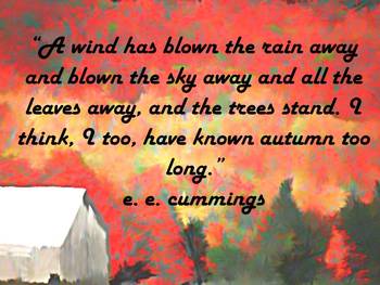 Mr. B's Quotes of Autumn by Phil Bundy | Teachers Pay Teachers