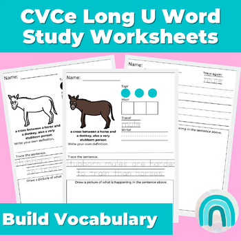 As stubborn as a mule  English vocabulary words learning