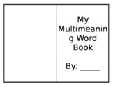 Multi-Meaning Book 4th Grade