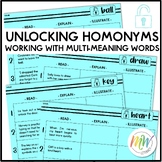 Multi Meaning Word Homonym Practice 