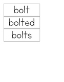 Multi Meaning Word Work - BOLT