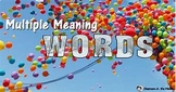 Multi Meaning Words
