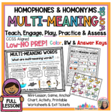 Multi-Meaning Words Lesson | Homophones & Homographs  |  W