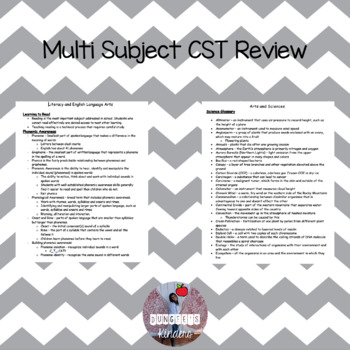 Preview of Multi Subject CST Review - Early Childhood/Childhood New York State
