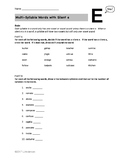 Multi-Syllable Words With Silent e  Worksheet