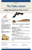 Multi-meaning words worksheet